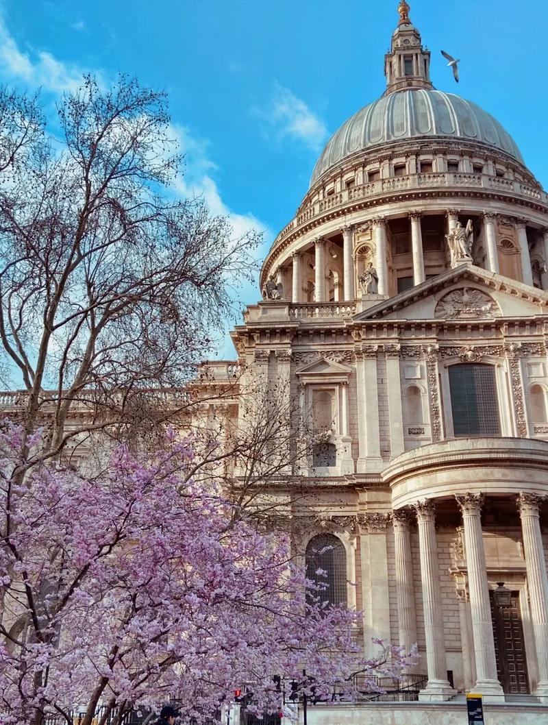 英属哥伦比亚大学